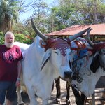 Photo taken by Pat K