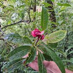 Photo taken by Jennifer G