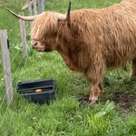 Photo taken by Maria S