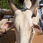 Photo taken by Randall C