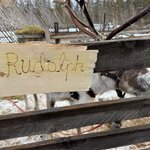 Photo taken by chelsea t