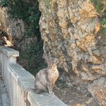 Photo taken by Nancy A