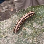 Photo taken by Ben B