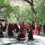 Photo taken by Karen W