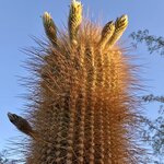 Photo taken by Carmen P