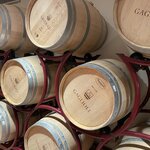 Photo taken by Karen C