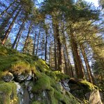 Photo taken by Susan H