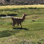 Photo taken by Dave E