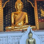 Photo taken by Brandon P