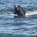 Photo taken by Joanne B