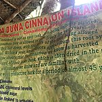 Photo taken by Vicky V