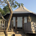 Photo taken by Dixie W