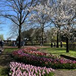 Photo taken by Monique L