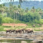 Photo taken by Jana W