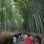 Photo taken by Nikki H