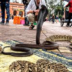 Photo taken by Eileen S