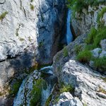 Photo taken by Janis R