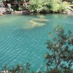 Photo taken by SARMA M