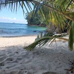 Photo taken by Brett F