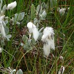 Photo taken by Kevin S