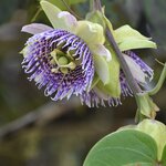 Photo taken by Joseph P