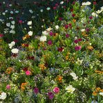 Photo taken by Sylvia S