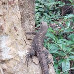 Photo taken by Sarah R