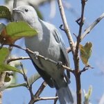 Photo taken by Joyce C