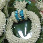 Photo taken by Janice D