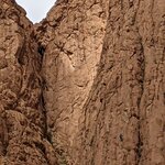 Photo taken by Cynthia D