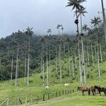 Photo taken by Sangini S