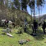 Photo taken by Mike B