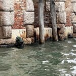 Photo taken by Amanda F