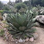 Photo taken by Vicki Lynn M