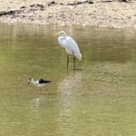 Photo taken by Bonnie Y