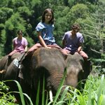 Photo taken by Julien C