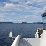 Photo taken by Prem P