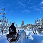 Photo taken by Caitlin P