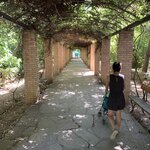 Photo taken by Ray M