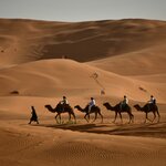 Photo taken by Indra S