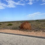 Photo taken by Amy Z