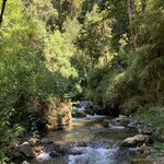 Photo taken by Anna A