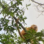 Photo taken by Roveen B