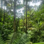 Photo taken by Darla D