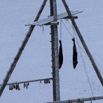 Photo taken by Ashley K