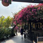 Photo taken by Kathy O