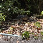 Photo taken by Milton L