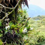 Photo taken by Brett F