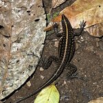 Photo taken by Martin L