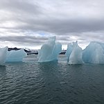 Photo taken by Lana M